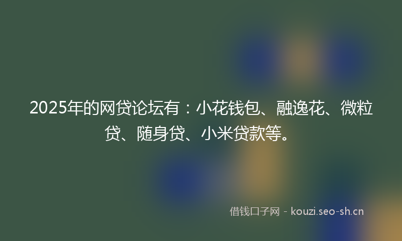 2025年的网贷论坛有：小花钱包、融逸花、微粒贷、随身贷、小米贷款等。