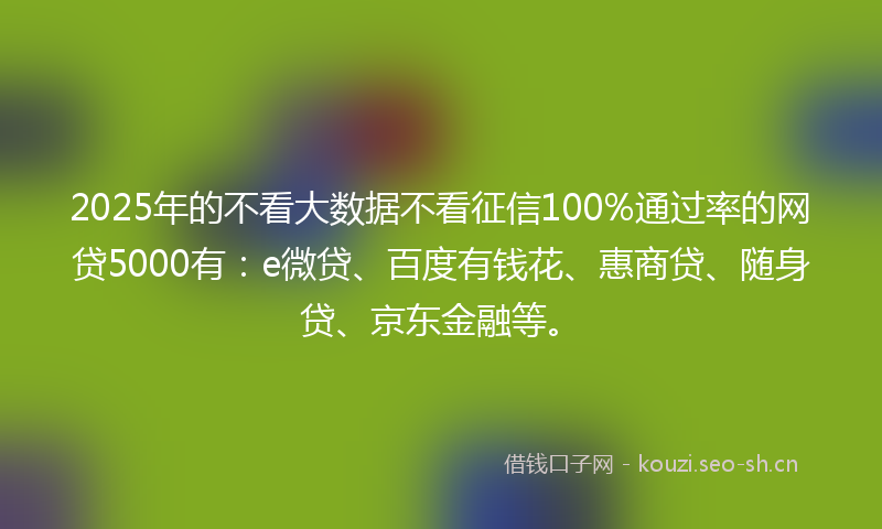 2025年的不看大数据不看征信100%通过率的网贷5000有：e微贷、百度有钱花、惠商贷、随身贷、京东金融等。
