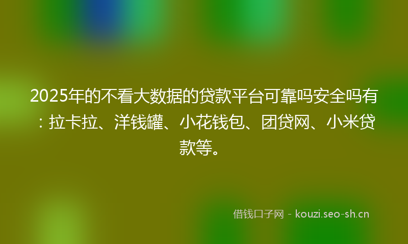 2025年的不看大数据的贷款平台可靠吗安全吗有：拉卡拉、洋钱罐、小花钱包、团贷网、小米贷款等。
