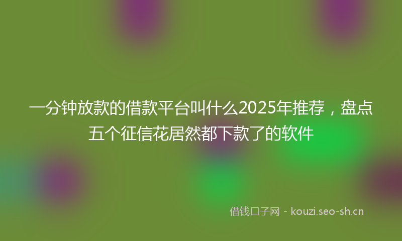 一分钟放款的借款平台叫什么2025年推荐,盘点五个征信花居然都下款了的软件