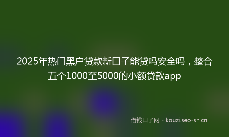2025年热门黑户贷款新口子能贷吗安全吗,整合五个1000至5000的小额贷款app