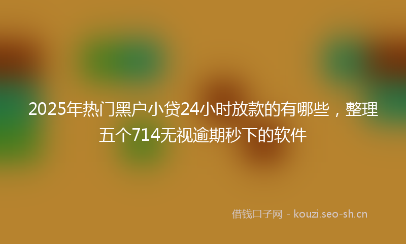 2025年热门黑户小贷24小时放款的有哪些，整理五个714无视逾期秒下的软件