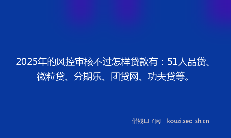 2025年的风控审核不过怎样贷款有：51人品贷、微粒贷、分期乐、团贷网、功夫贷等。