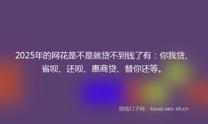 2025年的网花是不是就贷不到钱了有：你我贷、省呗、还呗、惠商贷、替你还等。