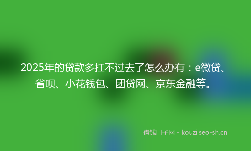 2025年的贷款多扛不过去了怎么办有：e微贷、省呗、小花钱包、团贷网、京东金融等。