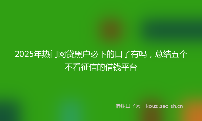 2025年热门网贷黑户必下的口子有吗，总结五个不看征信的借钱平台