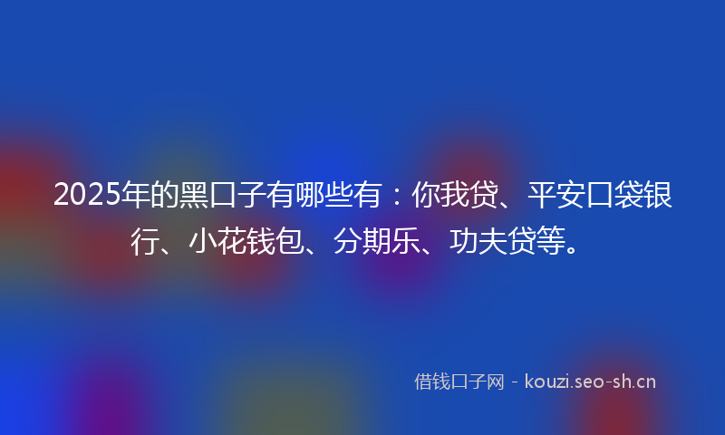 2025年的黑口子有哪些有：你我贷、平安口袋银行、小花钱包、分期乐、功夫贷等。