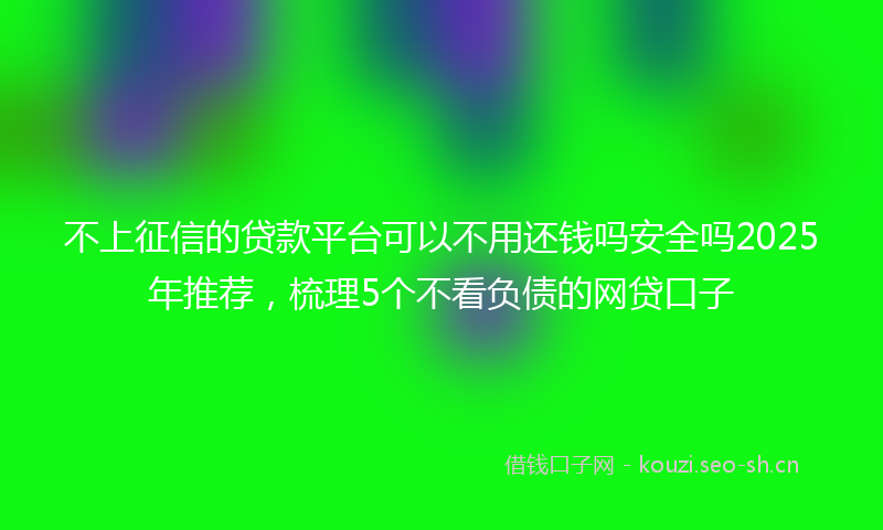 不上征信的贷款平台可以不用还钱吗安全吗2025年推荐，梳理5个不看负债的网贷口子