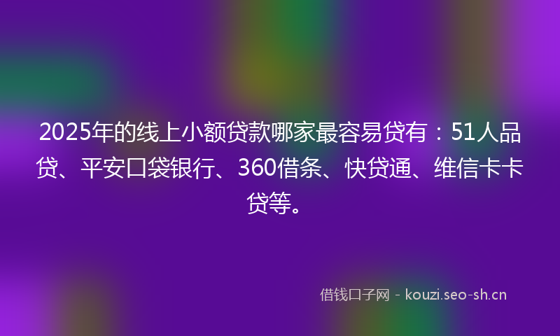 2025年的线上小额贷款哪家最容易贷有：51人品贷、平安口袋银行、360借条、快贷通、维信卡卡贷等。