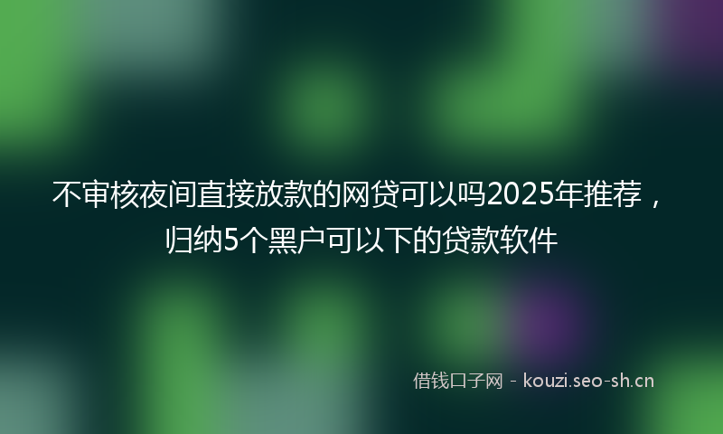 不审核夜间直接放款的网贷可以吗2025年推荐，归纳5个黑户可以下的贷款软件