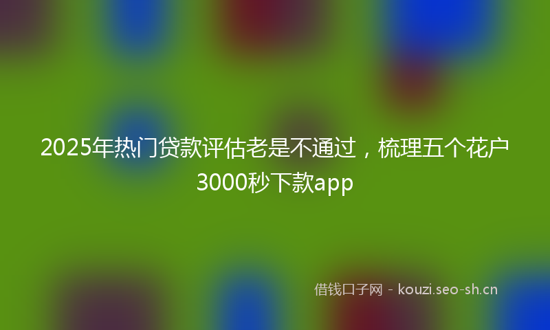 2025年热门贷款评估老是不通过，梳理五个花户3000秒下款app