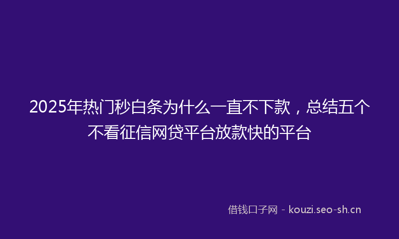 2025年热门秒白条为什么一直不下款，总结五个不看征信网贷平台放款快的平台