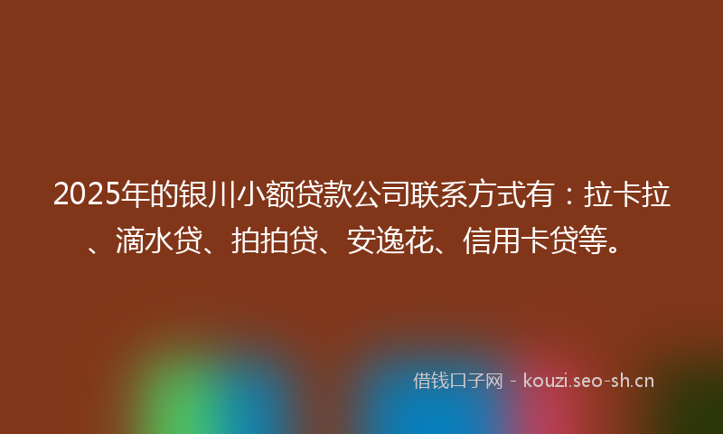 2025年的银川小额贷款公司联系方式有：拉卡拉、滴水贷、拍拍贷、安逸花、信用卡贷等。
