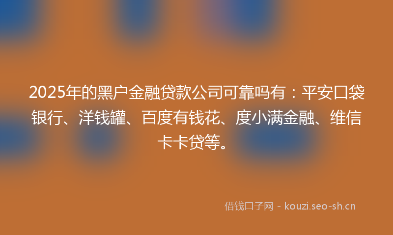 2025年的黑户金融贷款公司可靠吗有：平安口袋银行、洋钱罐、百度有钱花、度小满金融、维信卡卡贷等。