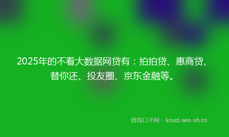 2025年的不看大数据网贷有：拍拍贷、惠商贷、替你还、投友圈、京东金融等。