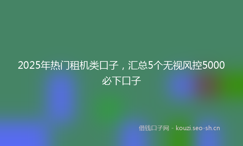 2025年热门租机类口子，汇总5个无视风控5000必下口子