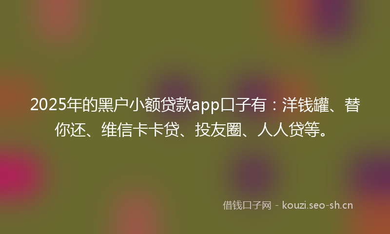 2025年的黑户小额贷款app口子有：洋钱罐、替你还、维信卡卡贷、投友圈、人人贷等。