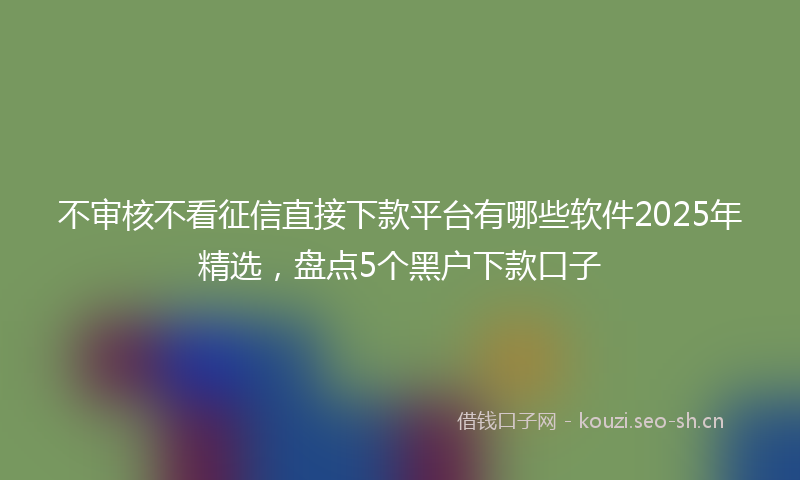 不审核不看征信直接下款平台有哪些软件2025年精选，盘点5个黑户下款口子
