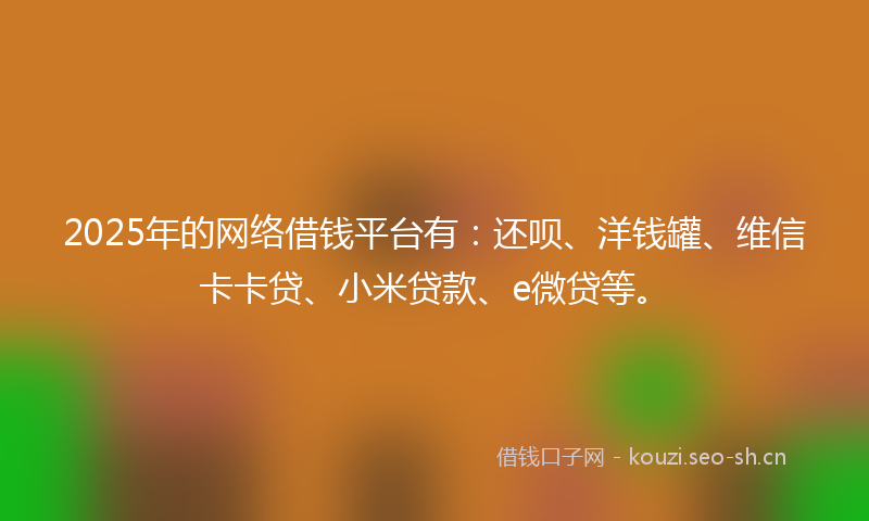 2025年的网络借钱平台有：还呗、洋钱罐、维信卡卡贷、小米贷款、e微贷等。