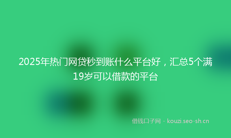 2025年热门网贷秒到账什么平台好，汇总5个满19岁可以借款的平台