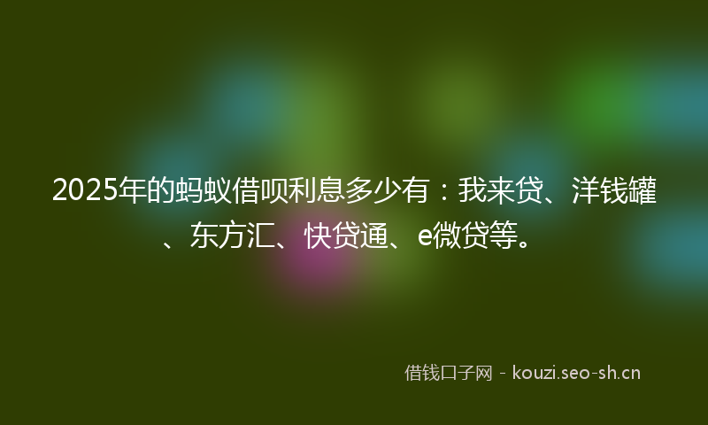 2025年的蚂蚁借呗利息多少有：我来贷、洋钱罐、东方汇、快贷通、e微贷等。