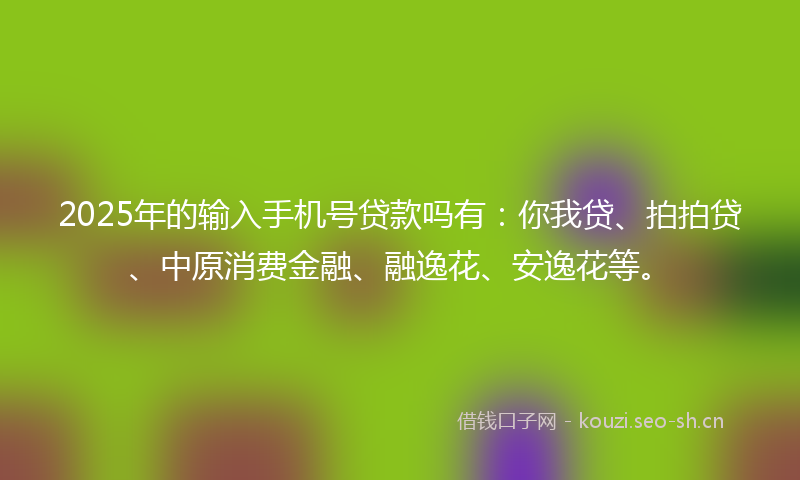 2025年的输入手机号贷款吗有：你我贷、拍拍贷、中原消费金融、融逸花、安逸花等。