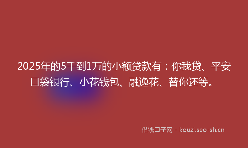 2025年的5千到1万的小额贷款有：你我贷、平安口袋银行、小花钱包、融逸花、替你还等。