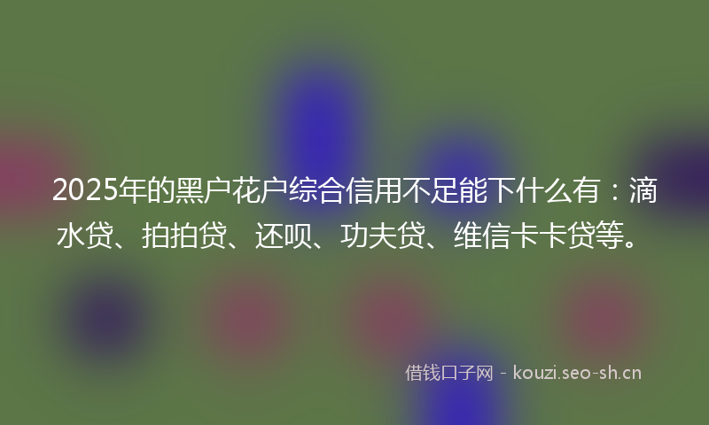 2025年的黑户花户综合信用不足能下什么有：滴水贷、拍拍贷、还呗、功夫贷、维信卡卡贷等。