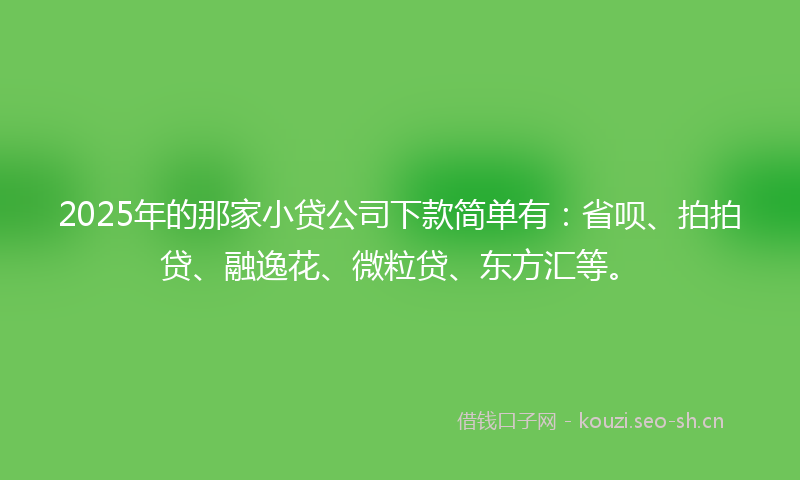 2025年的那家小贷公司下款简单有：省呗、拍拍贷、融逸花、微粒贷、东方汇等。
