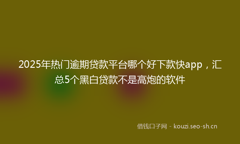2025年热门逾期贷款平台哪个好下款快app，汇总5个黑白贷款不是高炮的软件