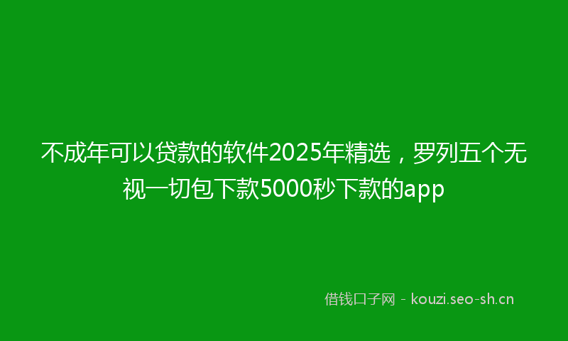 不成年可以贷款的软件2025年精选，罗列五个无视一切包下款5000秒下款的app