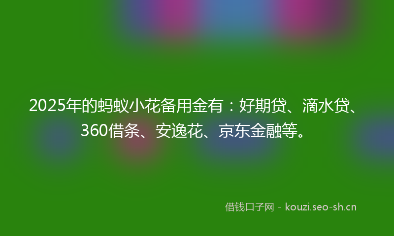 2025年的蚂蚁小花备用金有：好期贷、滴水贷、360借条、安逸花、京东金融等。