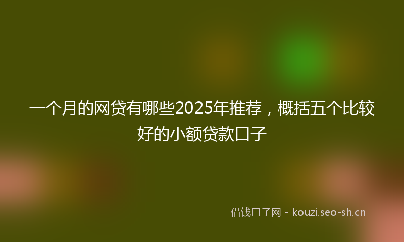 一个月的网贷有哪些2025年推荐，概括五个比较好的小额贷款口子