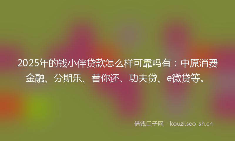2025年的钱小伴贷款怎么样可靠吗有：中原消费金融、分期乐、替你还、功夫贷、e微贷等。