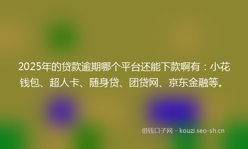 2025年的贷款逾期哪个平台还能下款啊有：小花钱包、超人卡、随身贷、团贷网、京东金融等。