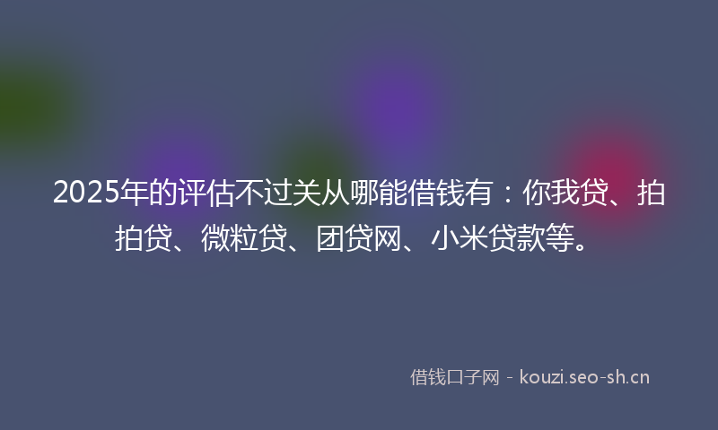 2025年的评估不过关从哪能借钱有：你我贷、拍拍贷、微粒贷、团贷网、小米贷款等。