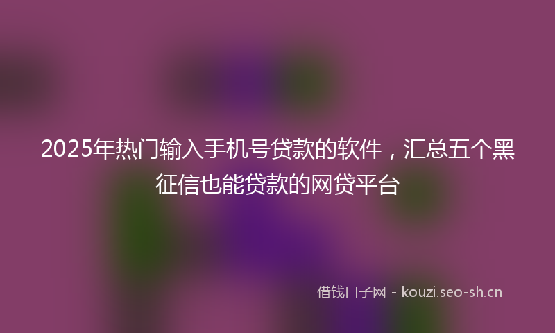 2025年热门输入手机号贷款的软件，汇总五个黑征信也能贷款的网贷平台