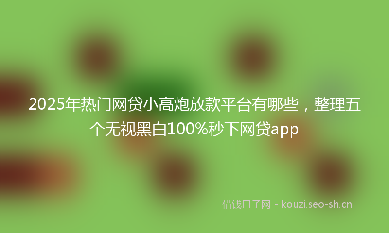 2025年热门网贷小高炮放款平台有哪些，整理五个无视黑白100%秒下网贷app