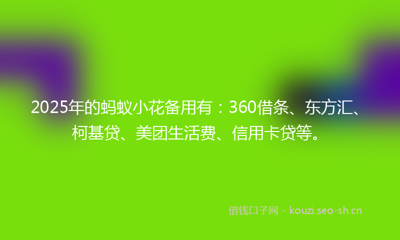 2025年的蚂蚁小花备用有：360借条、东方汇、柯基贷、美团生活费、信用卡贷等。
