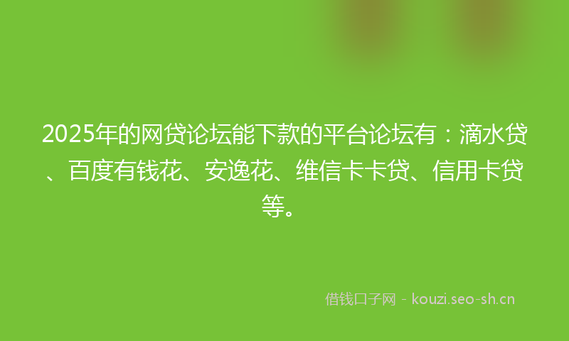 2025年的网贷论坛能下款的平台论坛有：滴水贷、百度有钱花、安逸花、维信卡卡贷、信用卡贷等。