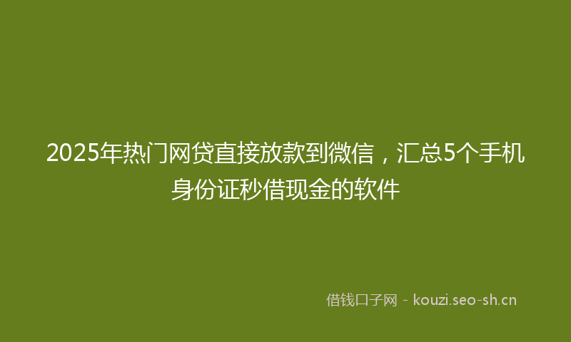 2025年热门网贷直接放款到微信，汇总5个手机身份证秒借现金的软件