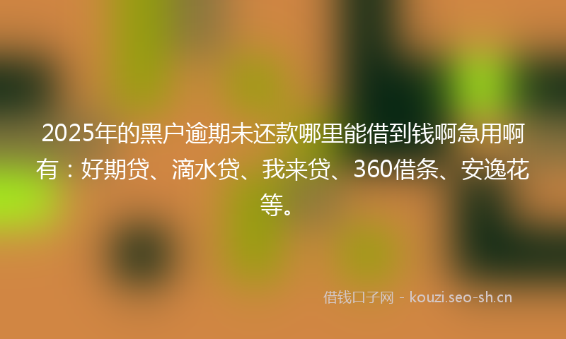 2025年的黑户逾期未还款哪里能借到钱啊急用啊有：好期贷、滴水贷、我来贷、360借条、安逸花等。