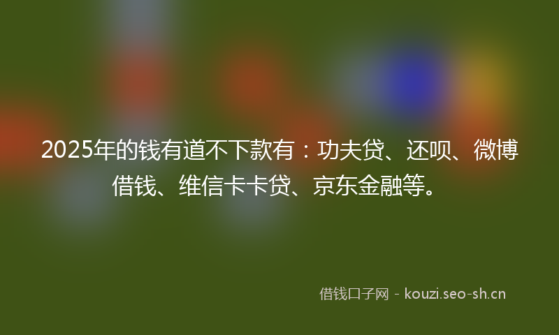 2025年的钱有道不下款有：功夫贷、还呗、微博借钱、维信卡卡贷、京东金融等。