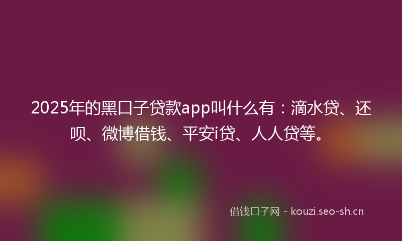2025年的黑口子贷款app叫什么有：滴水贷、还呗、微博借钱、平安i贷、人人贷等。