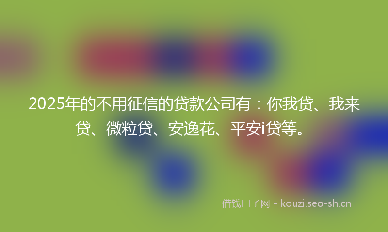 2025年的不用征信的贷款公司有：你我贷、我来贷、微粒贷、安逸花、平安i贷等。