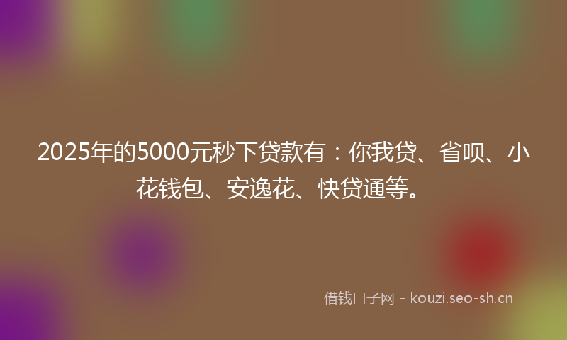 2025年的5000元秒下贷款有：你我贷、省呗、小花钱包、安逸花、快贷通等。