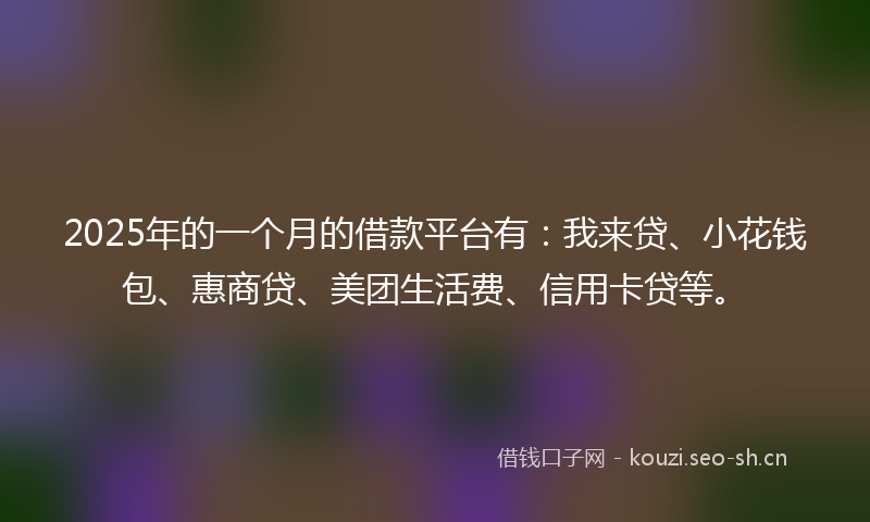 2025年的一个月的借款平台有：我来贷、小花钱包、惠商贷、美团生活费、信用卡贷等。