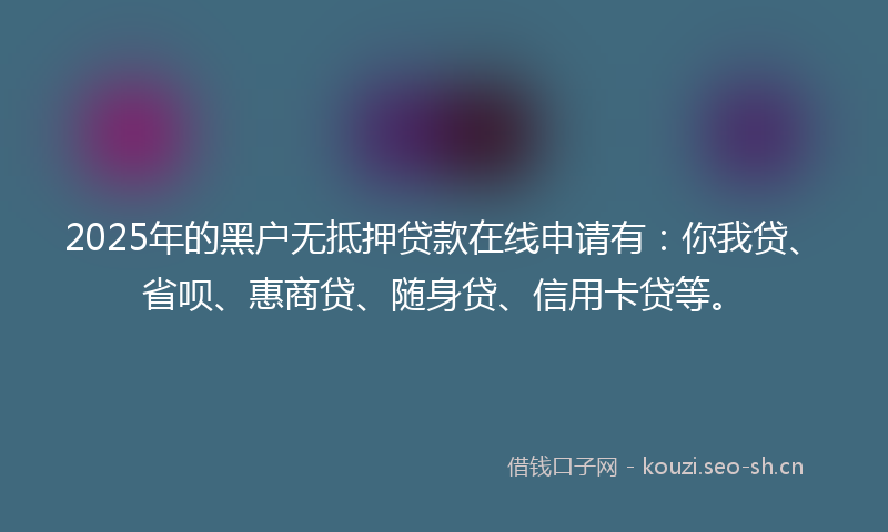 2025年的黑户无抵押贷款在线申请有：你我贷、省呗、惠商贷、随身贷、信用卡贷等。