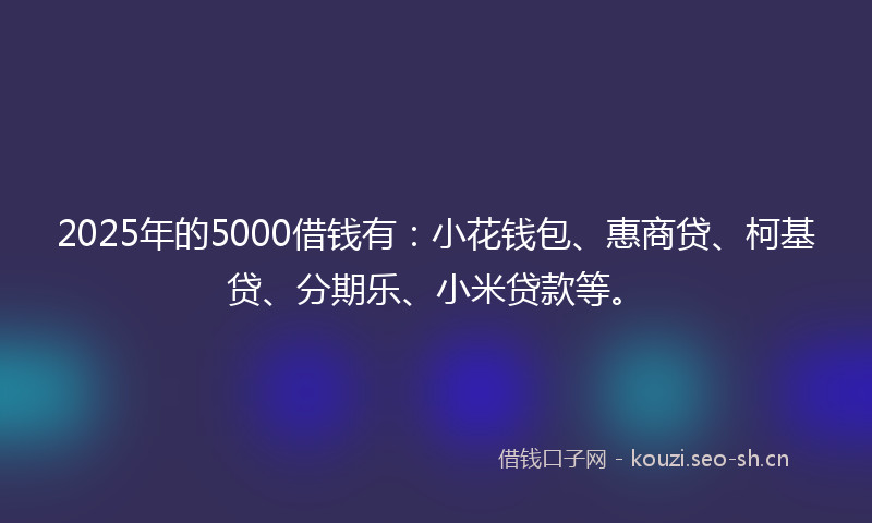 2025年的5000借钱有：小花钱包、惠商贷、柯基贷、分期乐、小米贷款等。