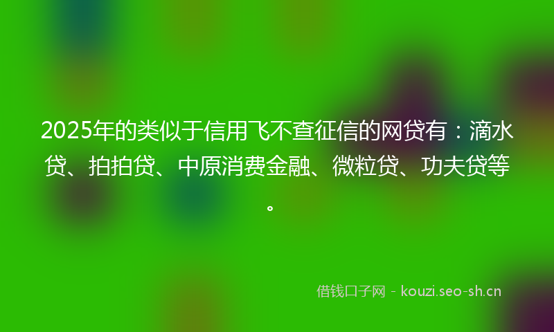 2025年的类似于信用飞不查征信的网贷有：滴水贷、拍拍贷、中原消费金融、微粒贷、功夫贷等。